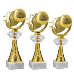 ND5621 med Fotball Motiv