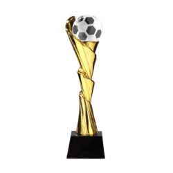 Fotball trofe ND68