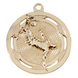 Medalje I Gull/Sølv og Bronse 77/25