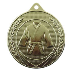 Kampsportmedalje