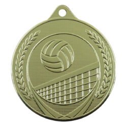 Volleyballmedalje