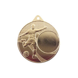 Medalje i Gull NDM396